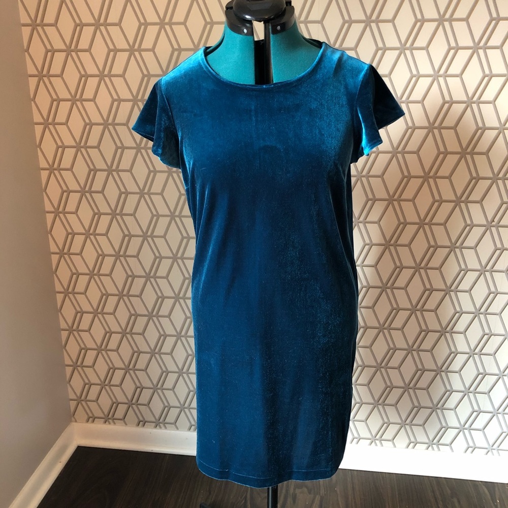 Cynthia Rowley velvet shift dress